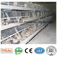 Petite cage de poussins et incubateur pour les élevages de volaille